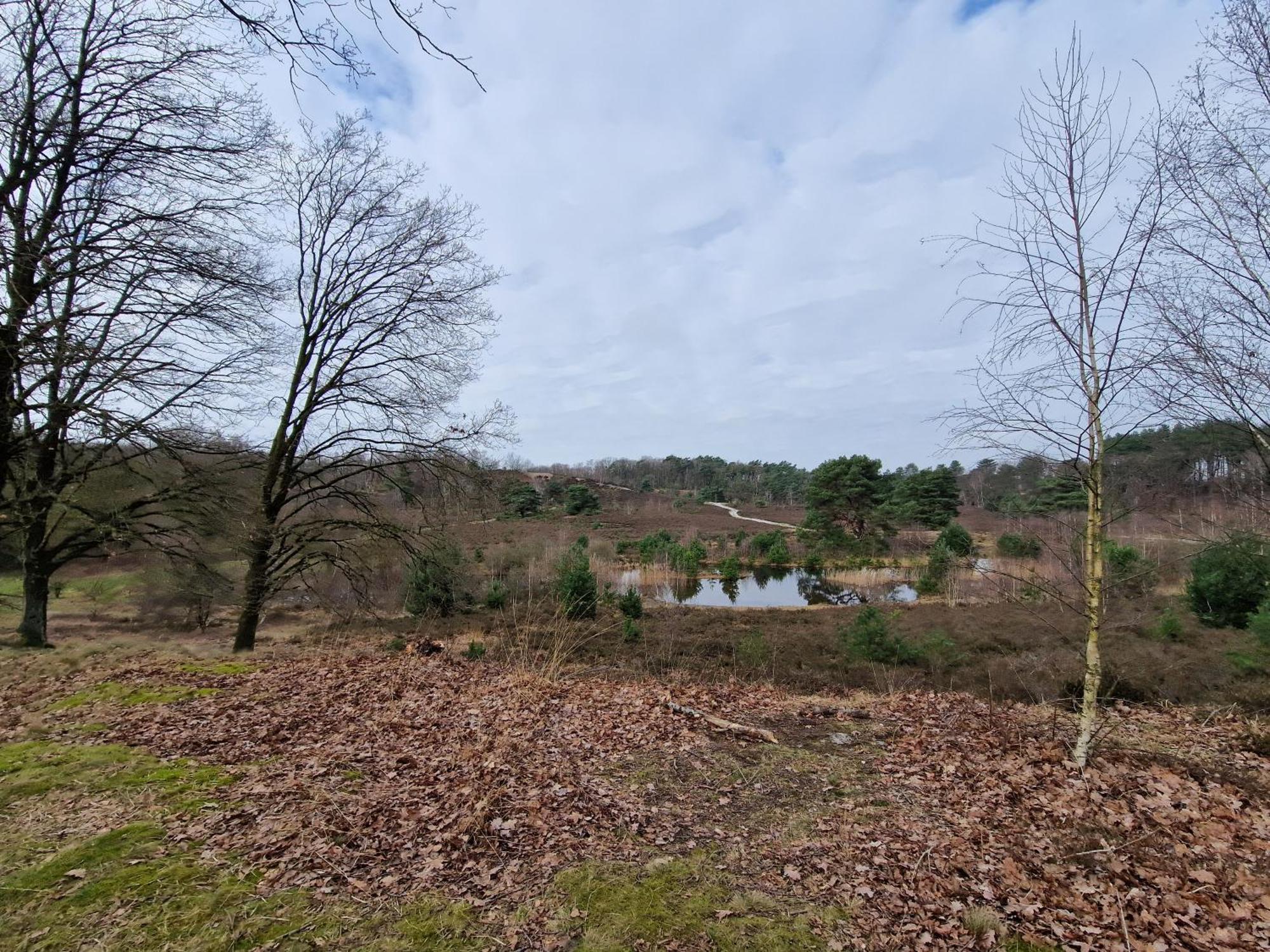 Vakantiehuisje Verhuur - Heuvel 35 シンペルフェルト エクステリア 写真