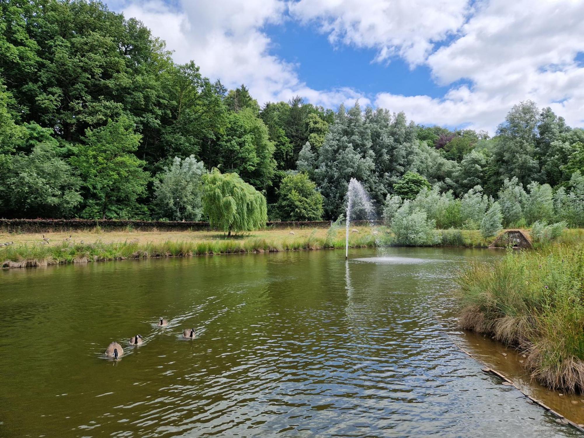 Vakantiehuisje Verhuur - Heuvel 35 シンペルフェルト エクステリア 写真